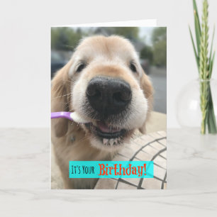 Carte Drôle Golden Retriever Traite Votre Anniversaire