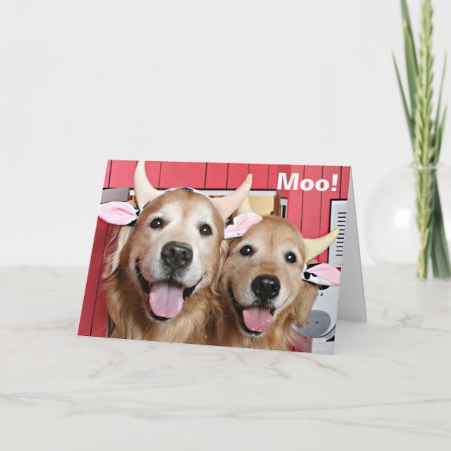 Carte Drôle Golden Retrivers en costumes de vache Hallow (Devant)