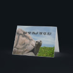 Carte Drôle Humour Giant Turtle Joyeux Anniversaire<br><div class="desc">Drôle Humoristique Giant Sea Turtle Bonne carte d'anniversaire</div>