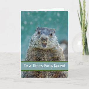 Carte Drôle Jour de la marmotte avec Jittery Furry Roden