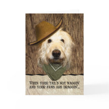 Drôle Labradoodle Dans Cowboy Casquette Bandana Se
