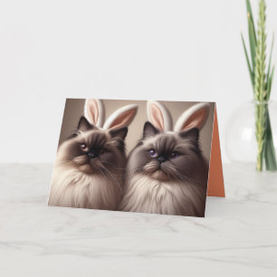 Carte Drôle lapin de chats Joyeux Pâques