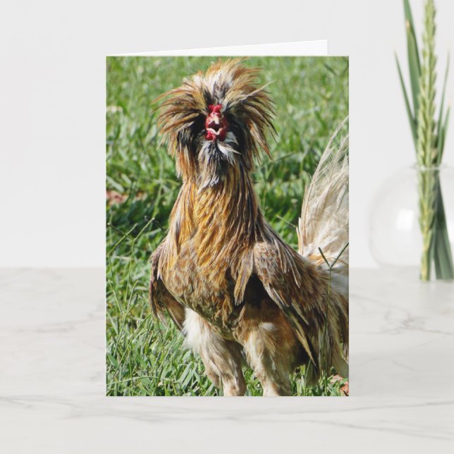 Carte Drôle mignon Mauvais Coiffeur Jour Rooster (Devant)