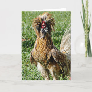 Carte Drôle mignon Mauvais Coiffeur Jour Rooster