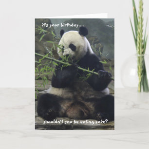 Carte Drôle Panda Birthday Card, Mange du gâteau, pas du
