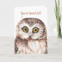 Drôle-Petit hibou choqué par coutume, soixantième