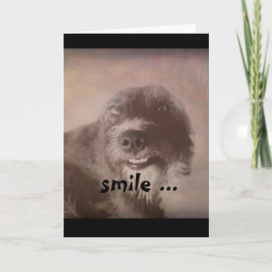 Carte drôle photo de chien humoristique anniversaire