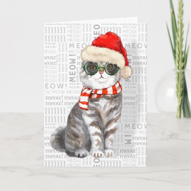 Carte Drôle Scottish Pold Christmas Cat (Devant)