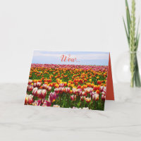 Drôle, tulipes, fleurs, colorées, pâques