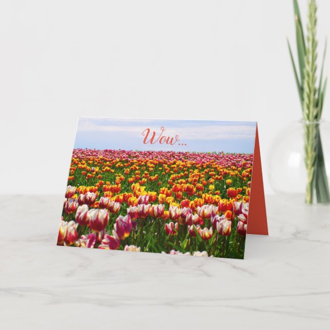 Carte Drôle, tulipes, fleurs, colorées, pâques (Devant)