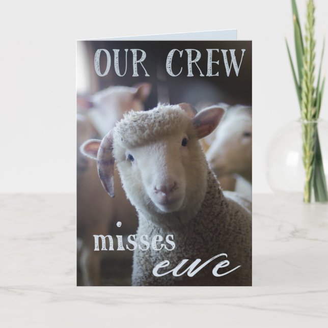 Carte Drôle We Miss You Card Photo de Sheep Farm Animaux (Devant)