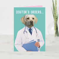 Drôle Yellow Lab Docteur ordres guérir et se tirer
