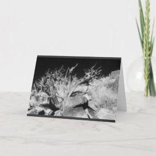 Carte Dry wood landscape
