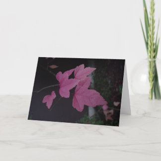 CARTE DSC02372