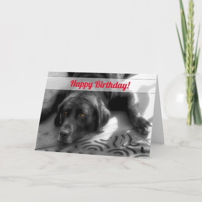 Carte du groupe Birthday Labrador Dog (Devant)