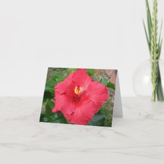 Carte du jour de mère