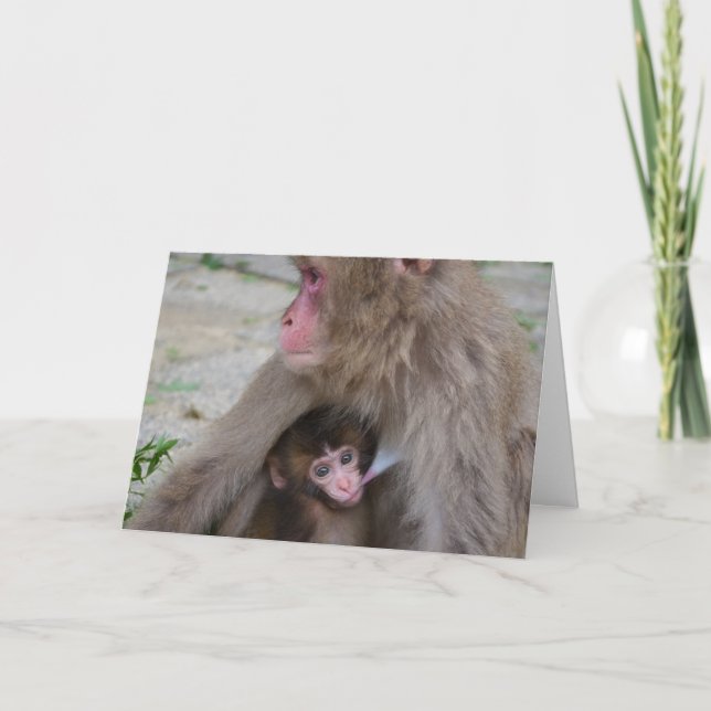 Carte du jour de mère de singe de mère et de bébé (Devant)