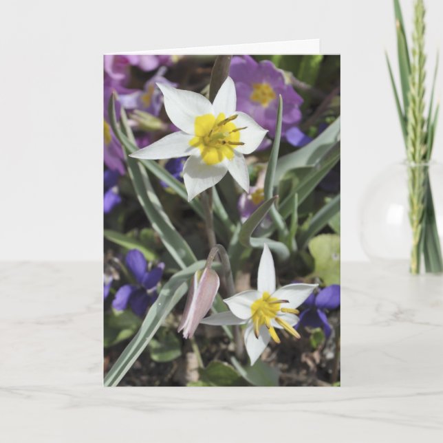 Carte du jour de mère de tulipe d'espèces (Devant)