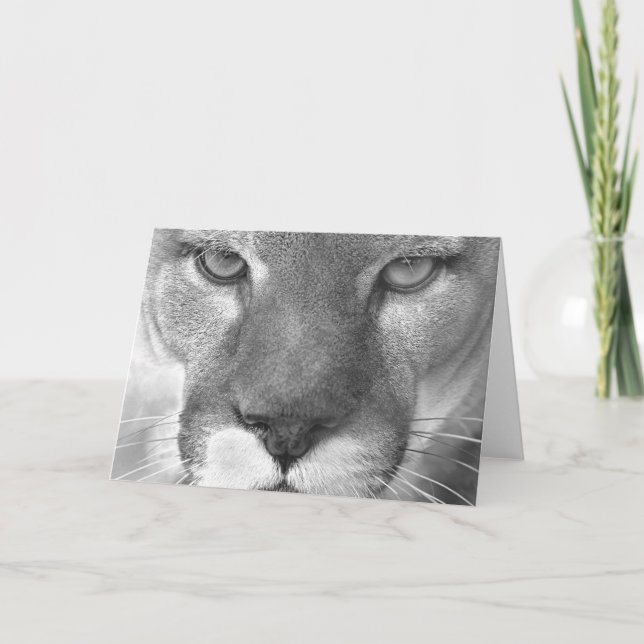 Carte du puma #1-Greeting (Devant)