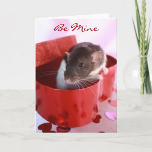 Carte du rat de Valentine