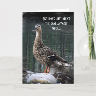 Carte Duck Birthday Card