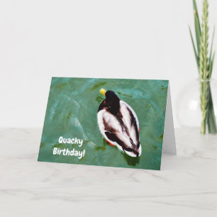Carte Duck In a Lake Quackday Card