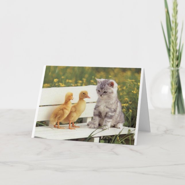 Carte Duckheap et un ami interviewer chaton. (Devant)