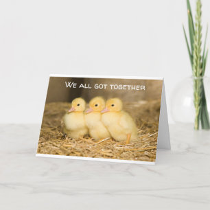 Carte DUCKS cool ***CARTE DE GROUPE**** POUR UNE PERSONN
