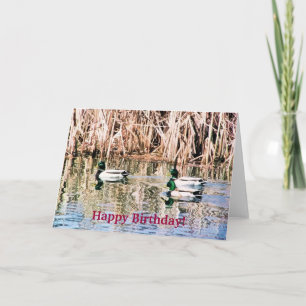 CARTE DUCKS SAUVAGES