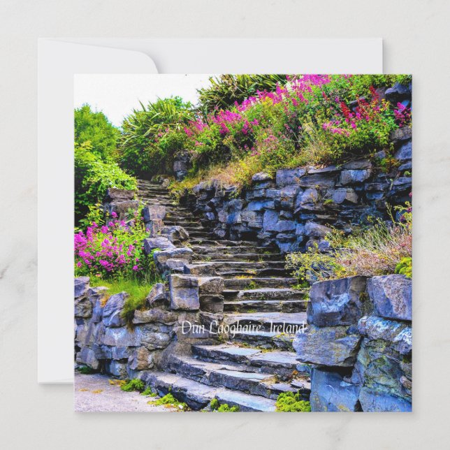 Carte Dun Laoghaire, Irlande Photo pittoresque (Devant)