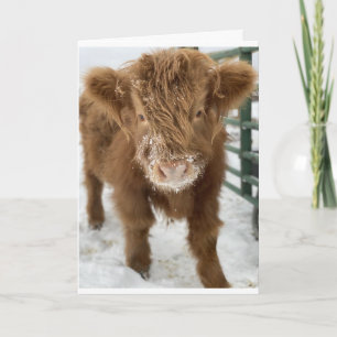 CARTE D'UNE VACHE CUTE = JOLIE ANNIVERSAIRE !