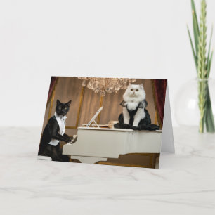 Carte Duo du salon de chat
