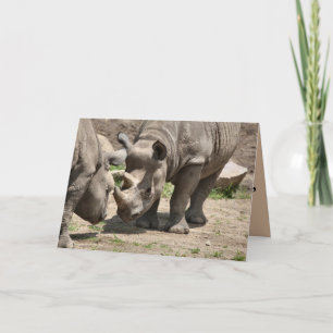 Carte Duo Rinamic