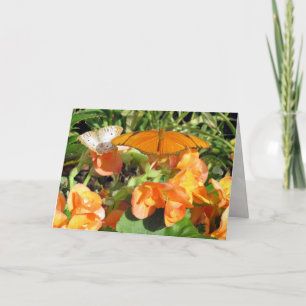 Carte Dyas Julia et White Peacock Butterflies Salutation