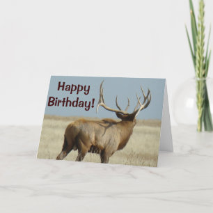 Carte E21 Bull Elk Challenger