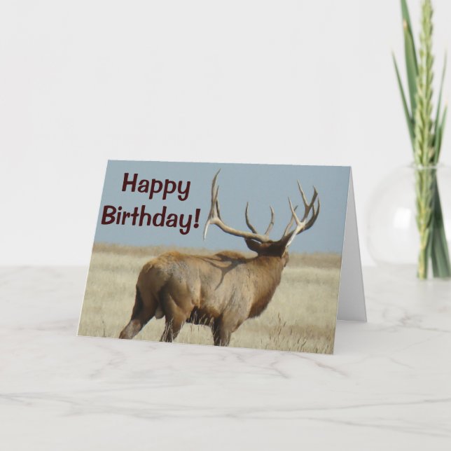 Carte E21 Bull Elk Challenger (Devant)