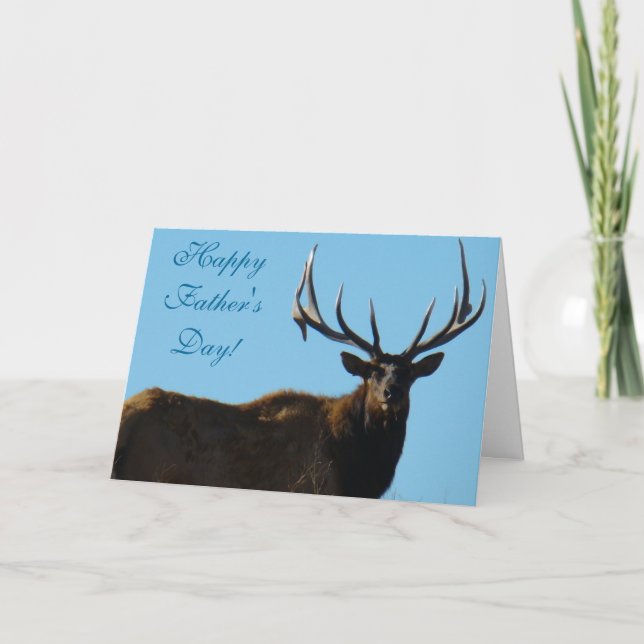 Carte E27 Bull Elk Sky Lined (Devant)