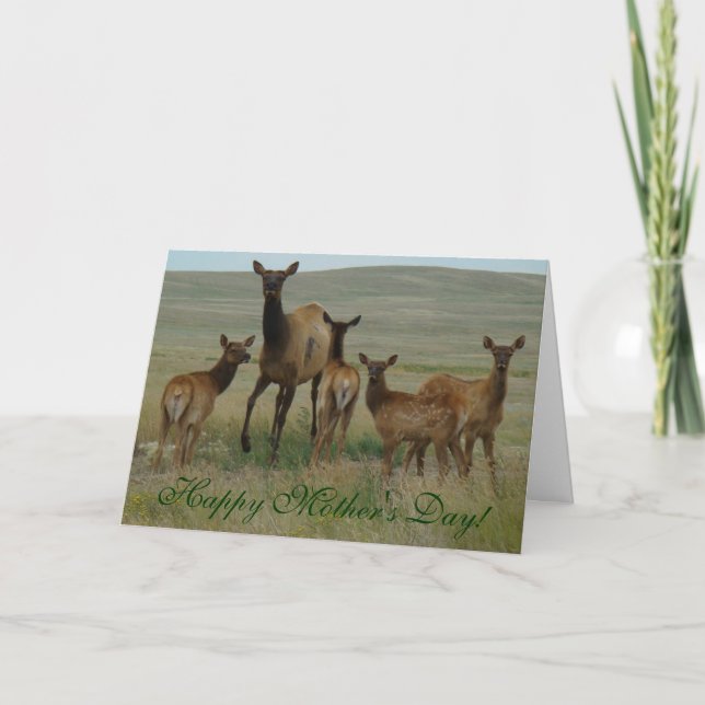 Carte E44 Cow Elk and Calves (Devant)