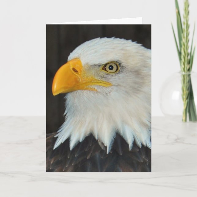 Carte Eagle Head Greeting Card (Devant)