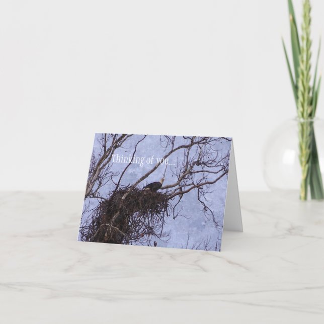 Carte Eagle Lookout Peinture De Vous Penser (Devant)