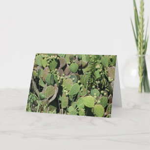 Carte "East Coast Cactus" Get Well Card