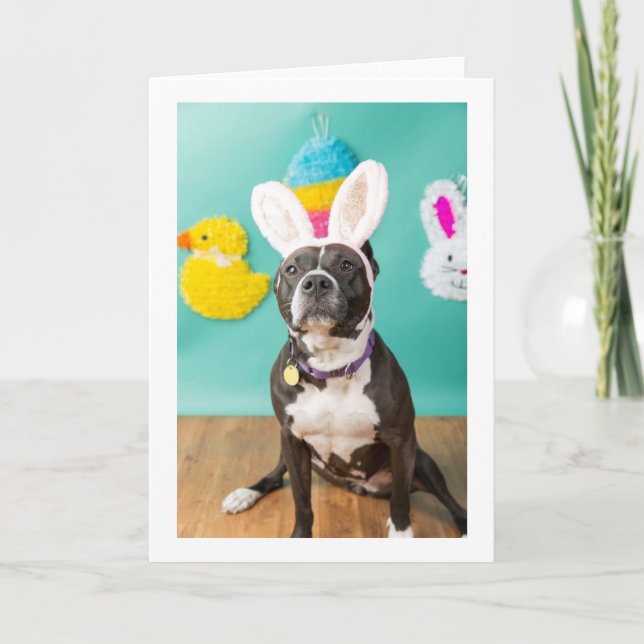 Carte Easter card (Devant)