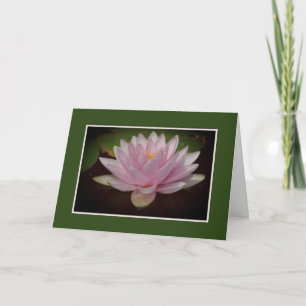CARTE EAU PÂLE ROSE LILY/BLANK INTÉRIEURE