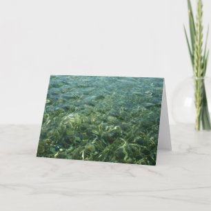 Carte Eau sur l'herbe marine I Nature caraïbe