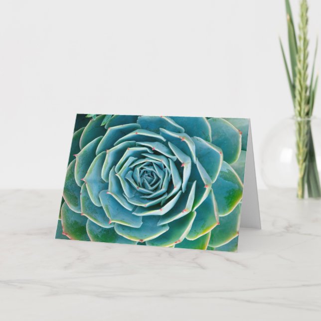 Carte Echeveria Rosette, Secret Garden of Marrakech (Devant)