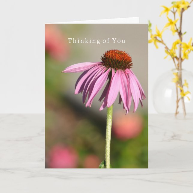Carte Echinacea Pensée pour toi (photographie par moi) (Fleur jaune)