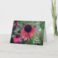 Echinacée aux fleurs de cône rouge avec sympathie