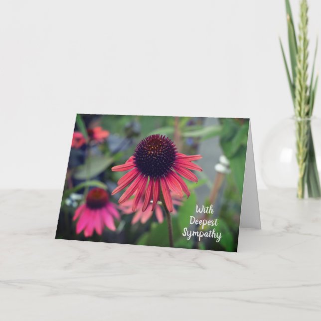Carte Echinacée aux fleurs de cône rouge avec sympathie (Devant)