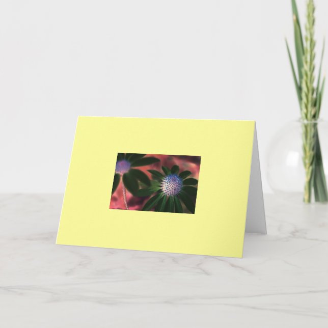 Carte "Echinacée verte #1 " (Devant)