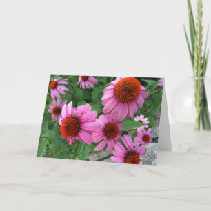 Carte Echinacée Violette Ecclesiastes Bible Verse Annive